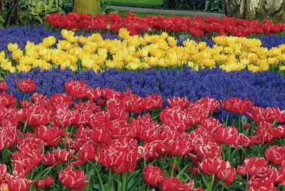 פאזל של Jardins