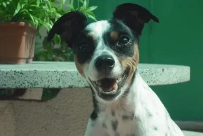 Â¡Hola!