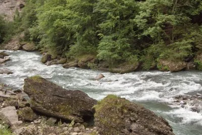Torrent alpin (FR)
