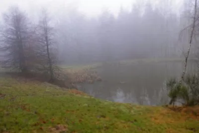 פאזל של Brouillard sur l 'Ã©tang (East Belgium)