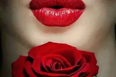rosa