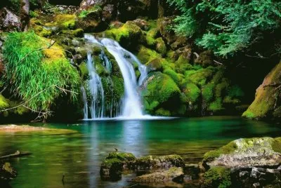 naturaleza jigsaw puzzle