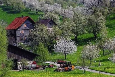 NÂº 854