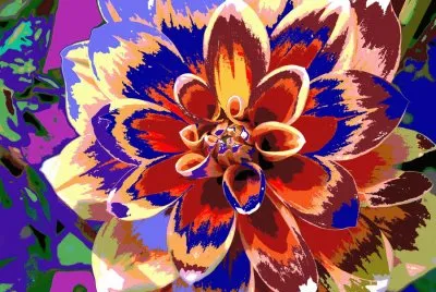 Summer Dahlia