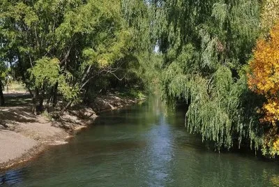 Isla 92. RÃ­o Negro. Argentina