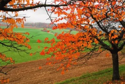 automne