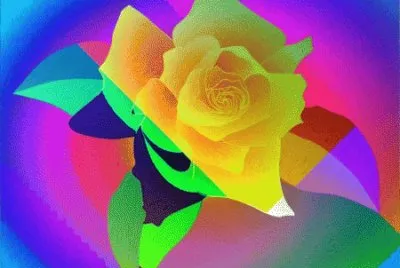 Anonymous Rose