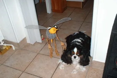 moustik