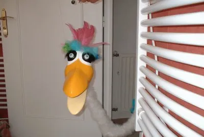 oiseau