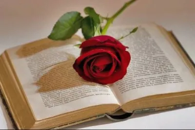 פאזל של Dia de San Jordi