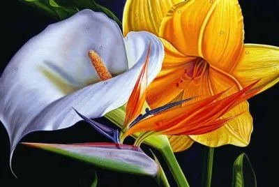 Tropical Flowers