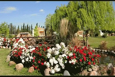 En San Rafael. Mendoza. Argentina jigsaw puzzle