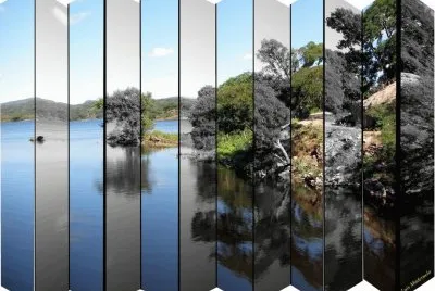biombo jigsaw puzzle