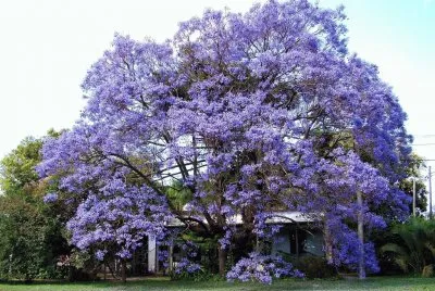 En Ramallo. Buenos Aires. Argentina