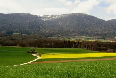 prÃ¨s du Devens