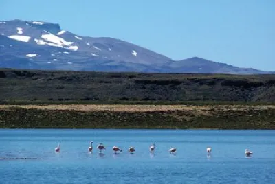 ANP Laguna Blanca. NeuquÃ©n. Argentina