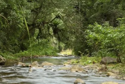 Anta. Salta. Argentina