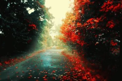 caminho...