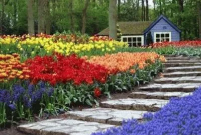 caminho das flores