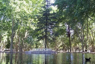 En RÃ­o Cuarto. CÃ³rdoba. Argentina jigsaw puzzle