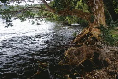 PN Los Arrayanes. NeuquÃ©n. Argentina jigsaw puzzle
