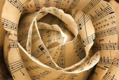 Musical Rose jigsaw puzzle