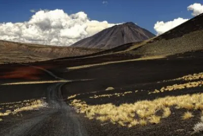 La Payunia. Mendoza. Argentina
