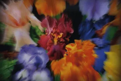 פאזל של colors