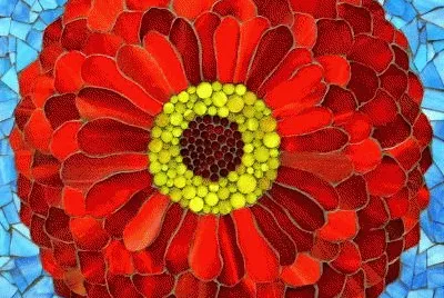 Red Zinnia