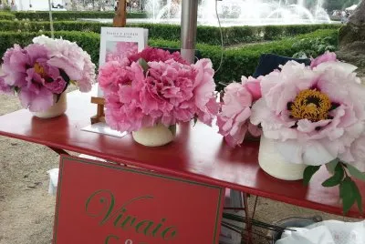 Peonie