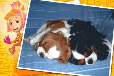 פאזל של Flavie et Dana