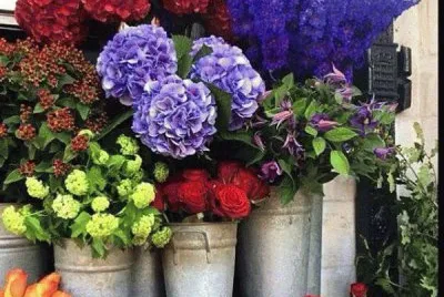 vaso de flores