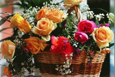 flores diversas