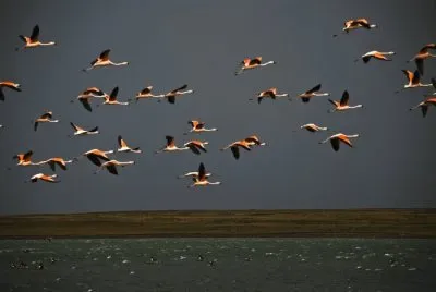 huyendo de la tormenta