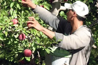 Â¡FELIZ DÃA DEL TRABAJO!