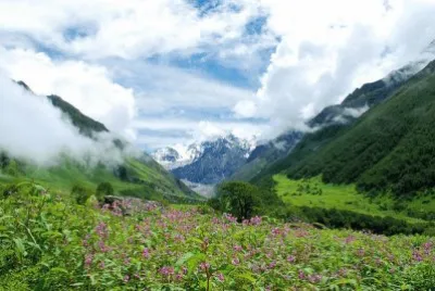 פאזל של Valle de las Flores. India