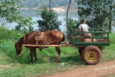 Puerto Piray. Misiones. Argentina