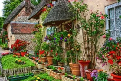 NÂº 921 jigsaw puzzle