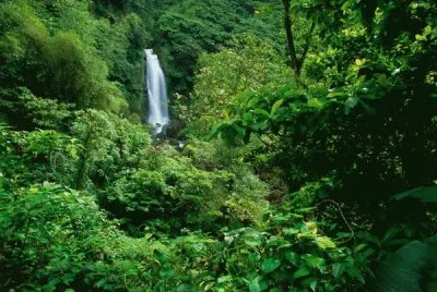 En Dominica