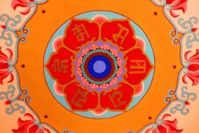 Lotus Flower