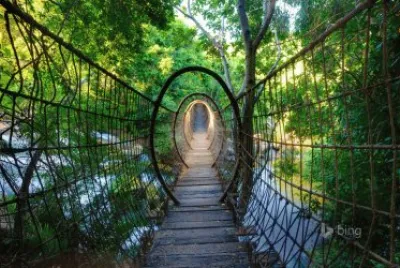 Sway Bridge North West Province South Africa