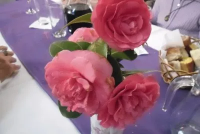 FLORES