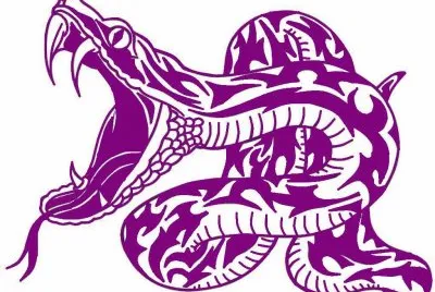 cobra