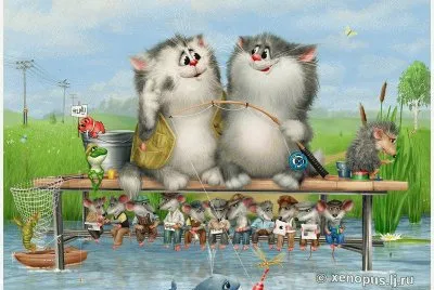 gatos