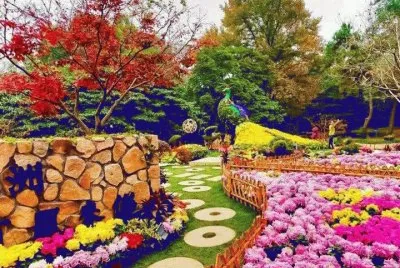 jardim