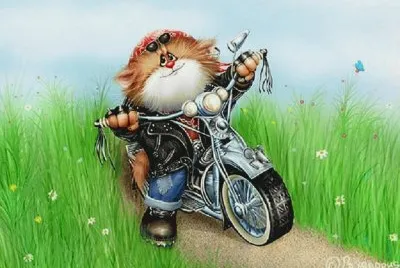 moto