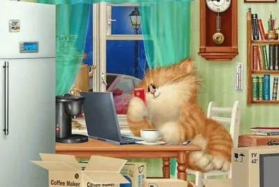gato