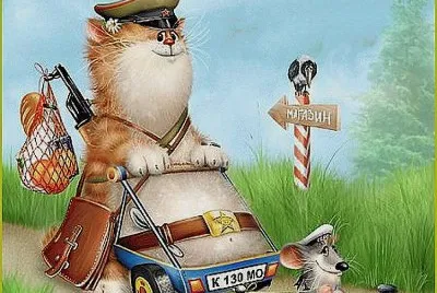 gato