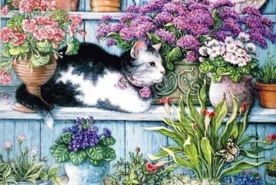 flores