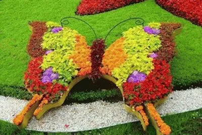 borboleta